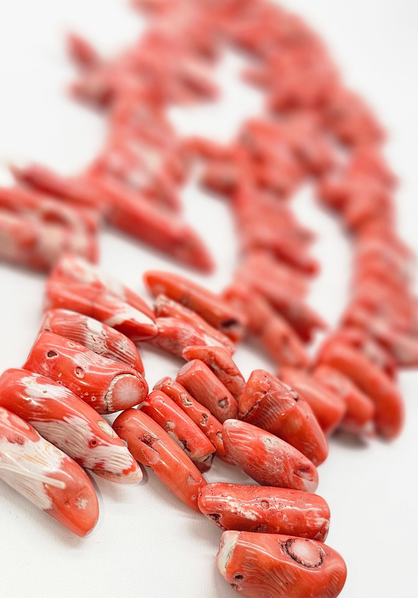 CORAL PUNTEAGUDO MED