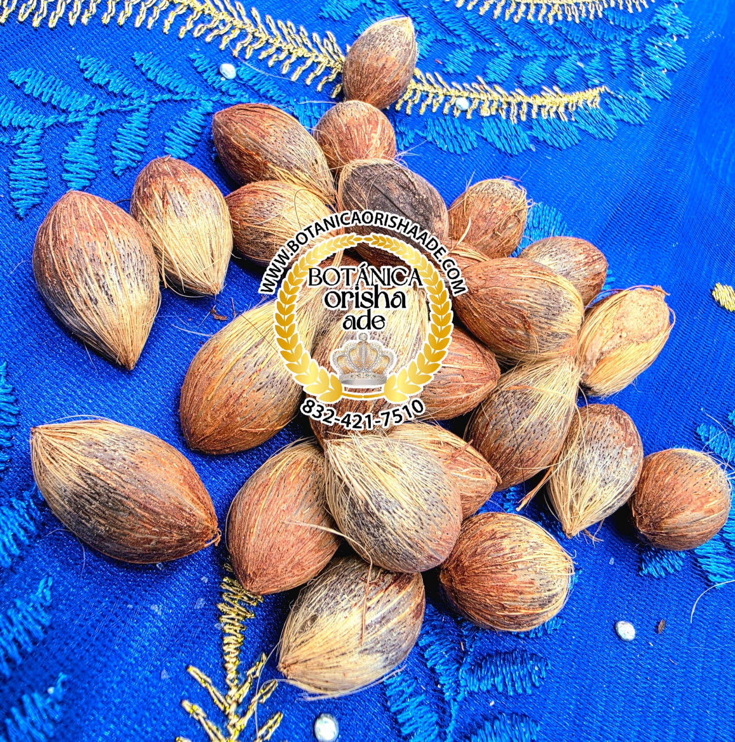 SEMILLA DE PALMICHE