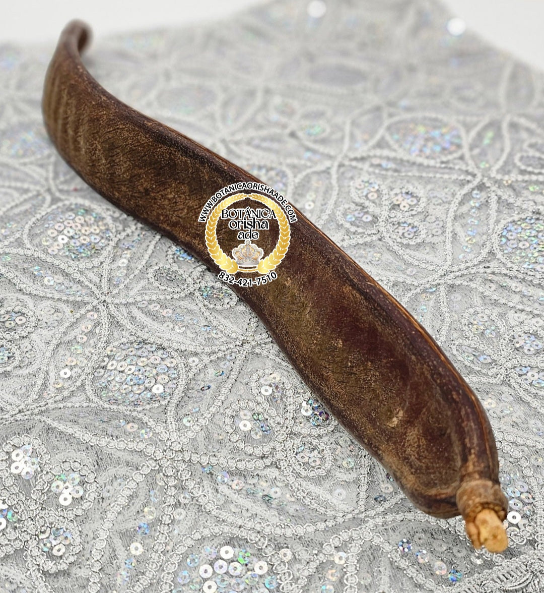 VAINA SENCILLA DE OYA