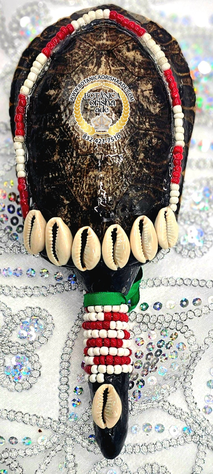 MARACA DE CARAPACHO DE JICOTEA 12