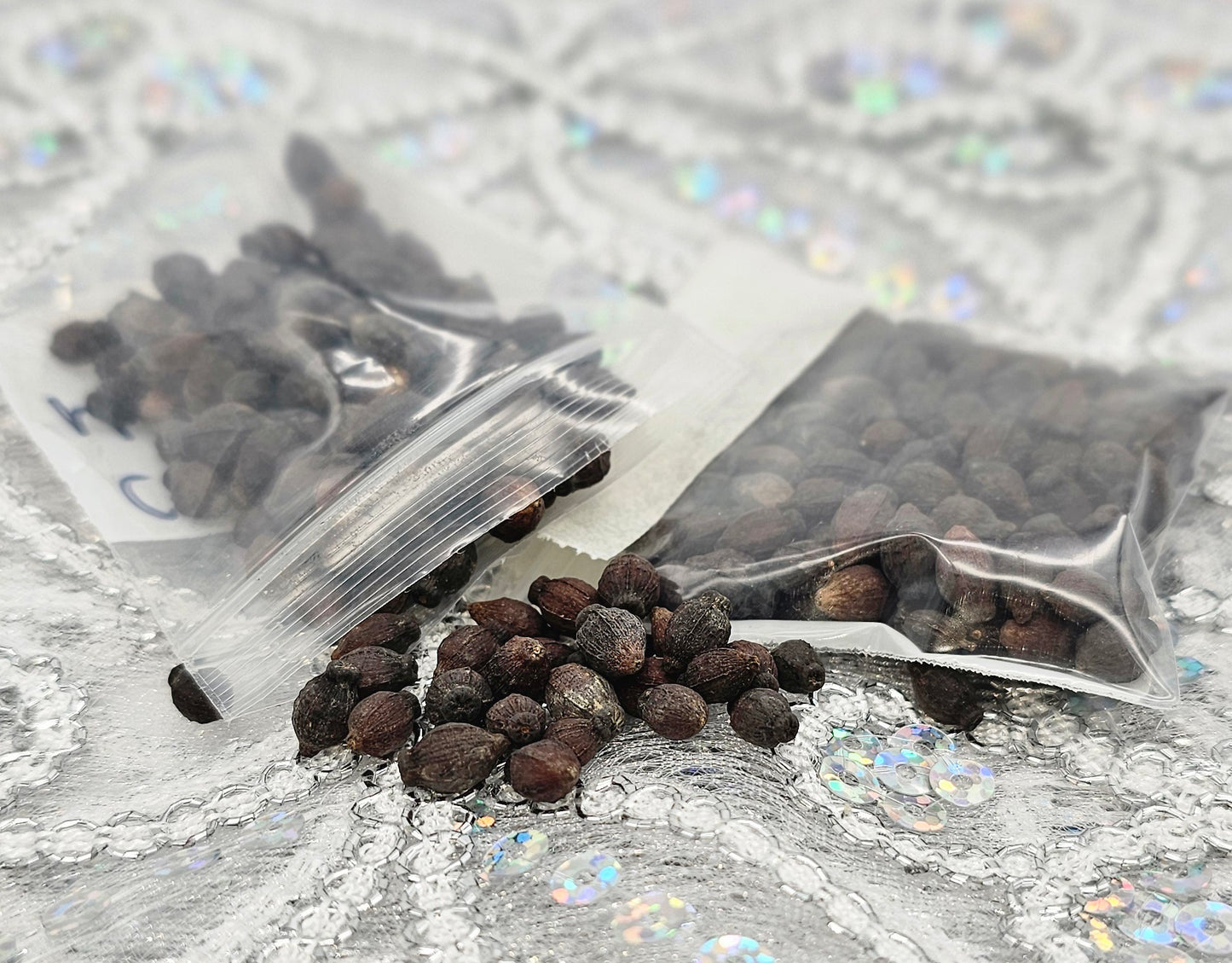 SEMILLA DE MARAVILLA BLANCA