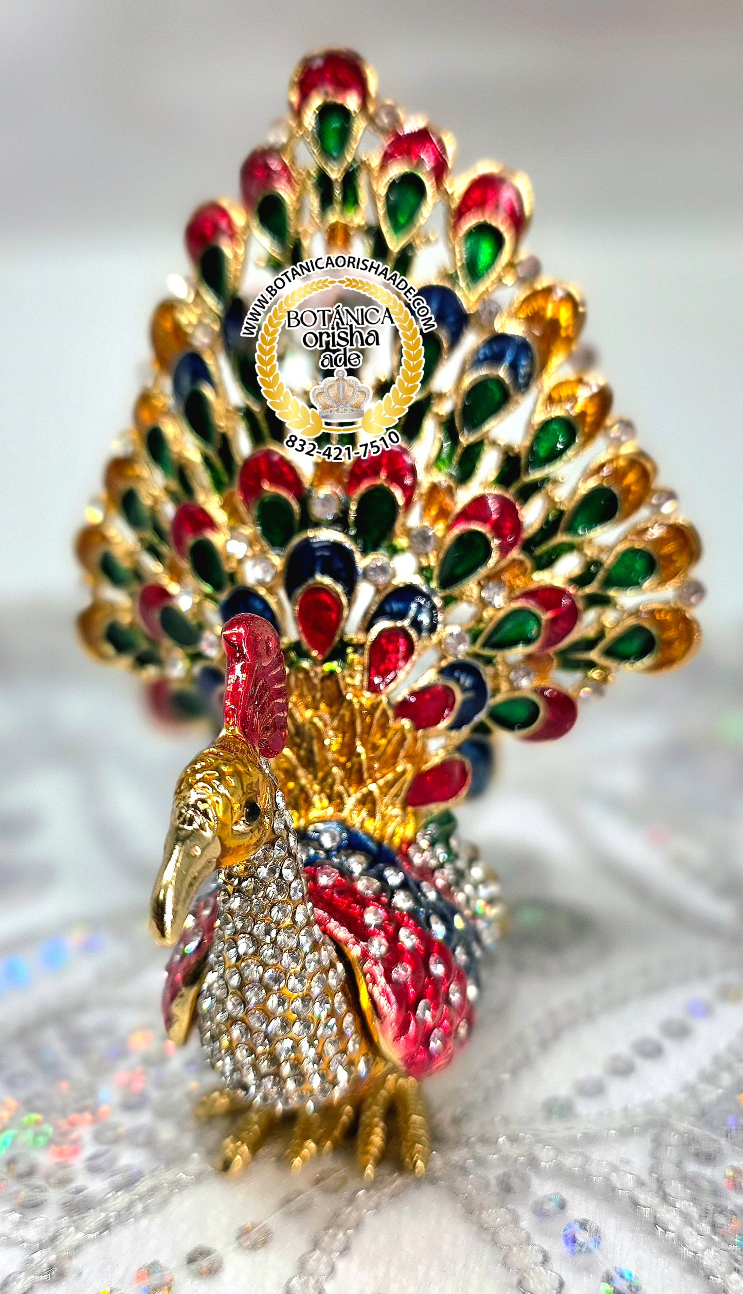 PAVO REAL COLA PARADA