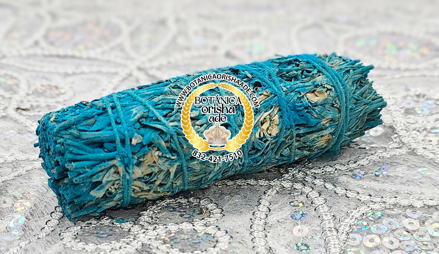 SAGE - CHAMBA SAGE - SAVILA CON CHAMBA