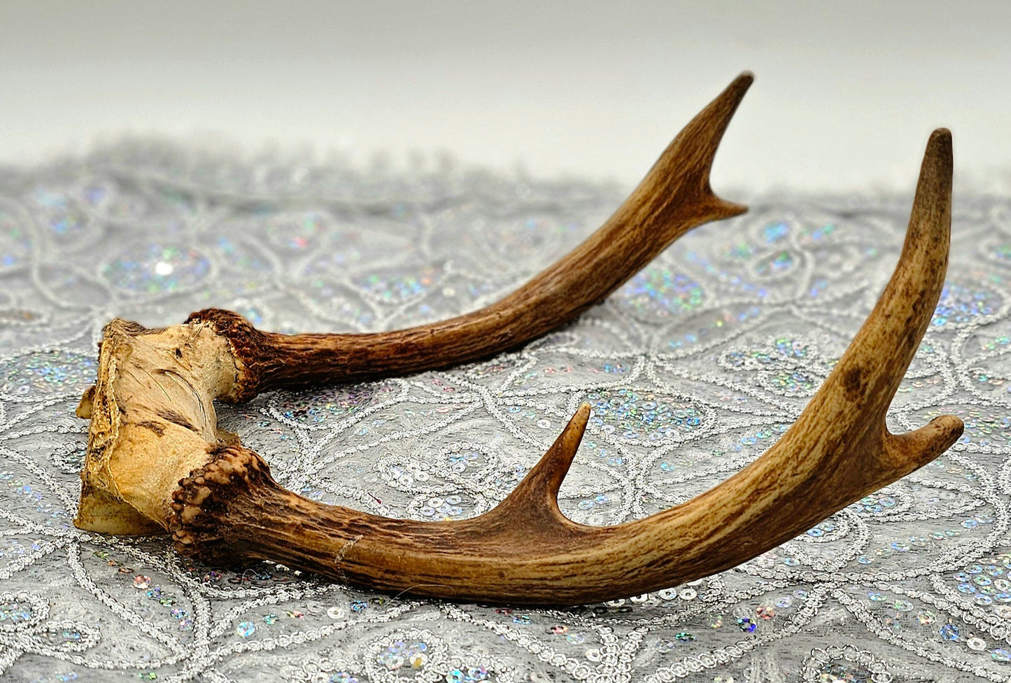 FRONTIL DE VENAO 8