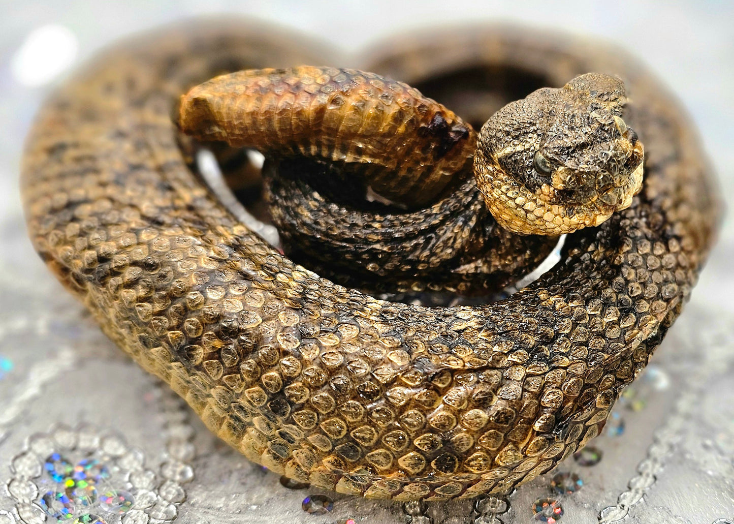 SERPIENTE GRANDE
