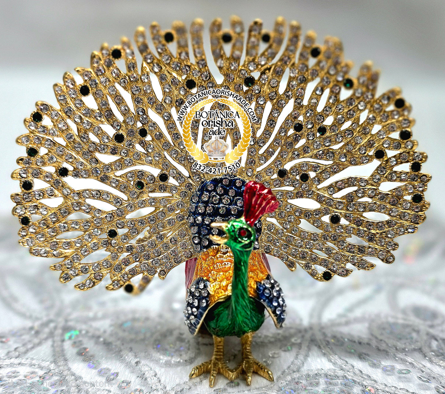 PAVO REAL COLA ABIERTA CHIQUITA