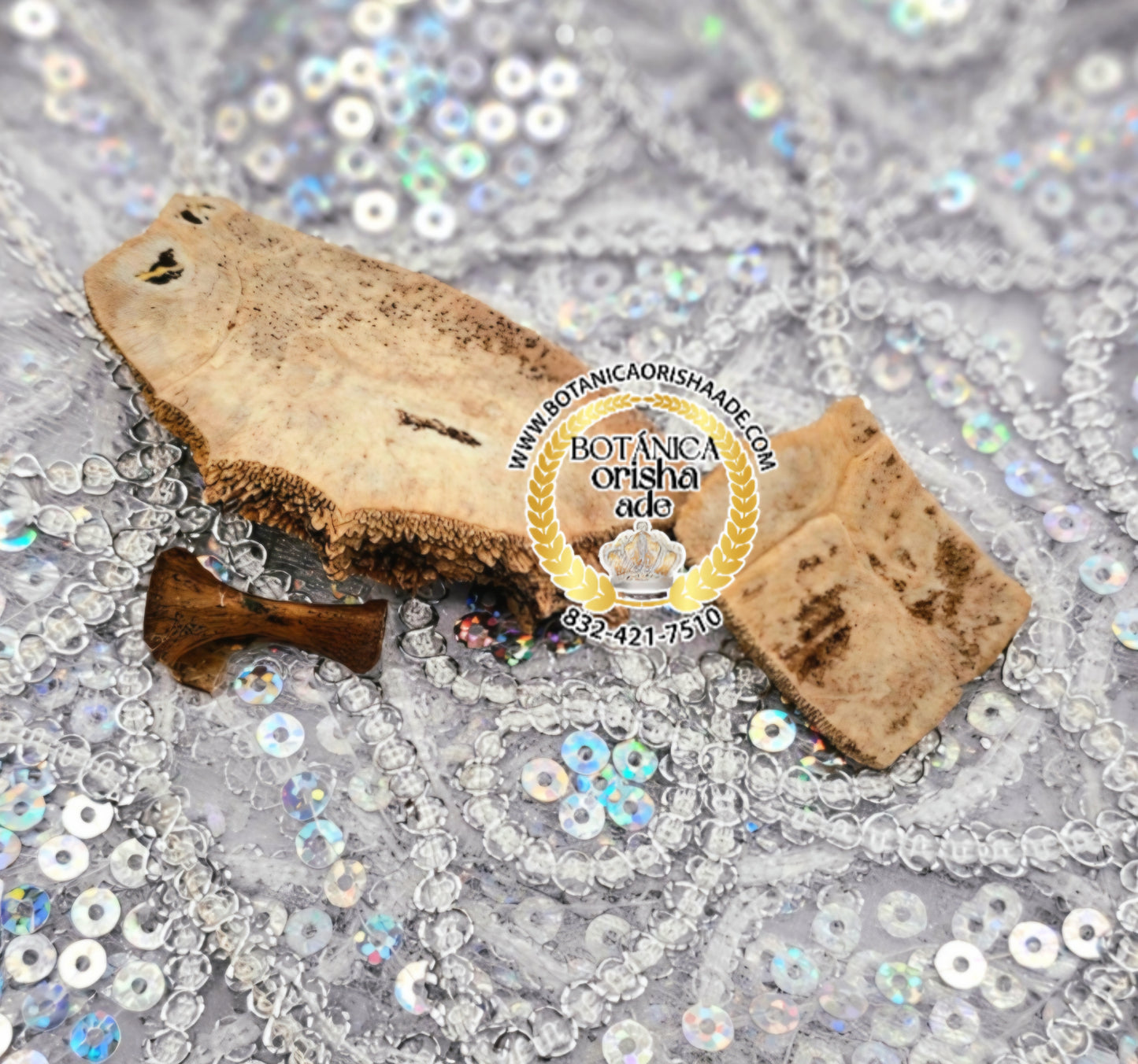 CARAPACHO DE JICOTEA PEQUENA