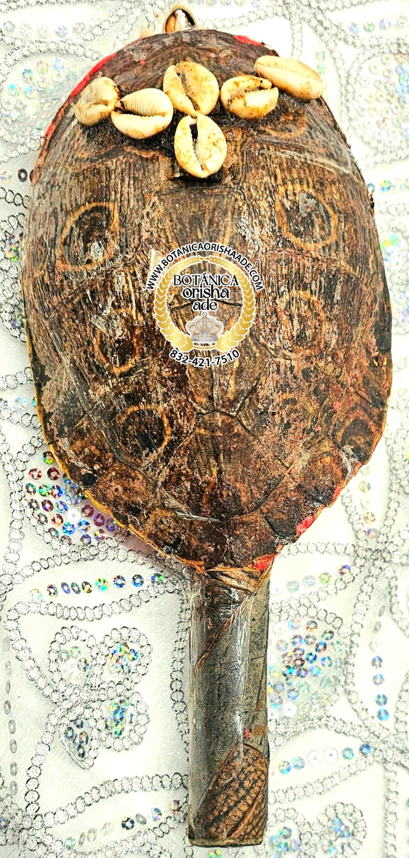MARACA DE CARAPACHO DE JICOTEA 6