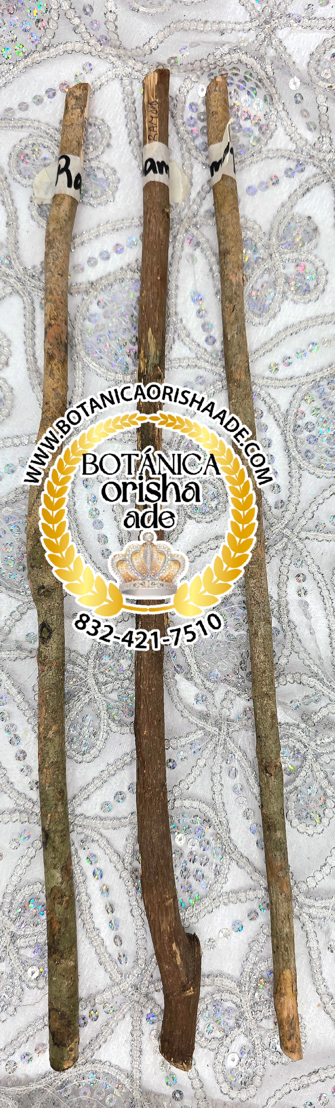 PALO RAMON - 15 Y 20 PULGADAS DE LARGO