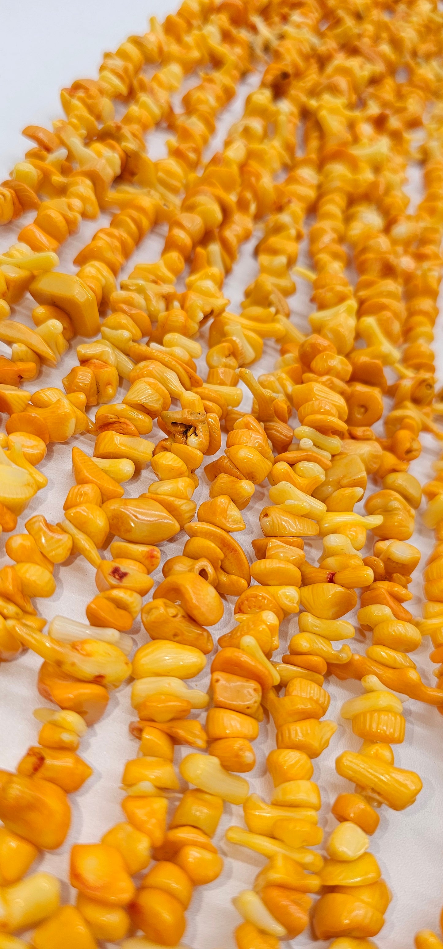 CORAL AMARILLO FINITO - RISTRA