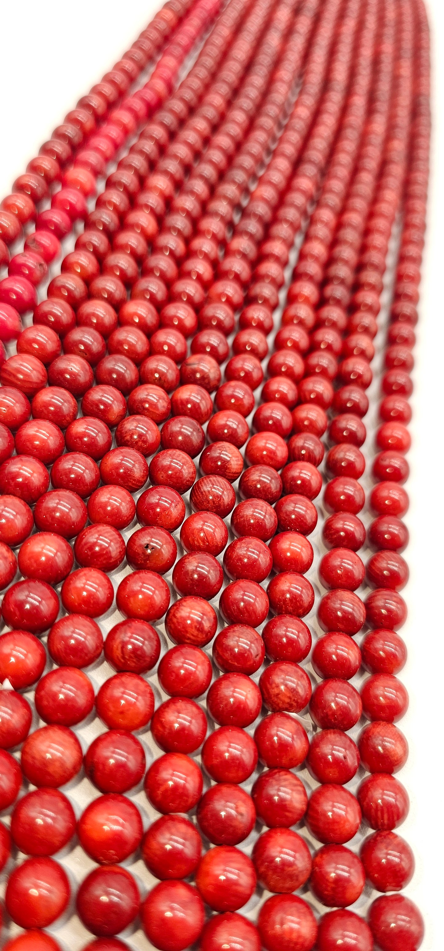 Coral Rojo Redondo