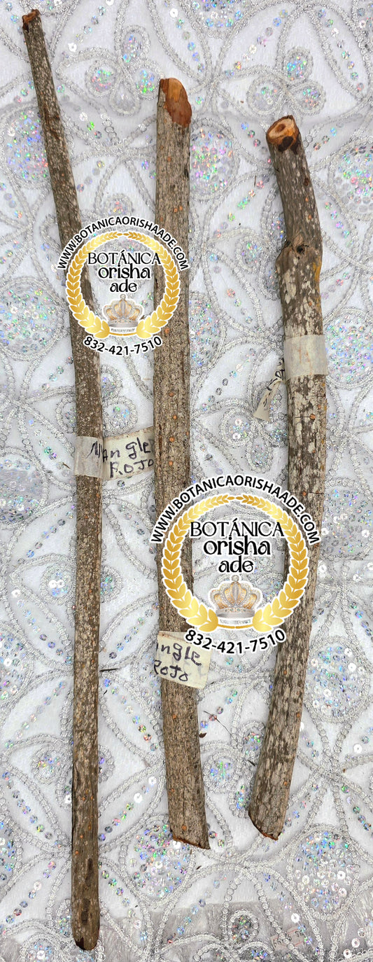 PALO MANGLE ROJO -  15 Y 20 PULGADAS DE LARGO