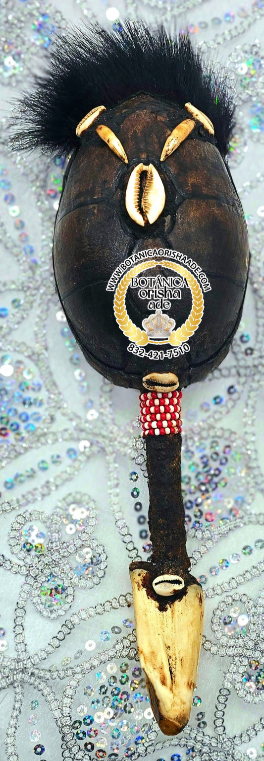 MARACA DE CARAPACHO DE JICOTEA 10