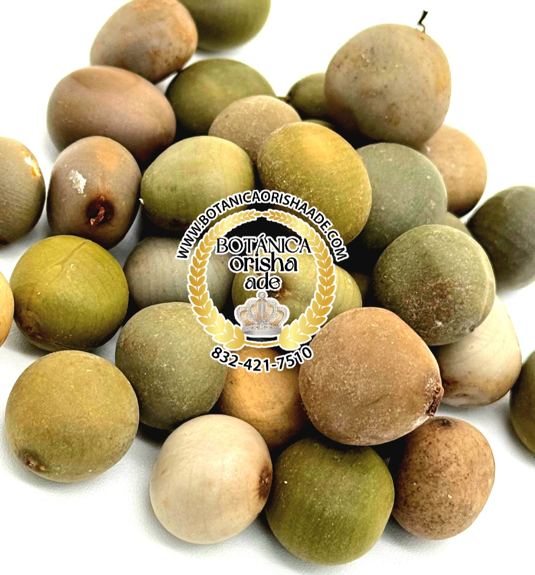 SEMILLA QUITA MALDICION