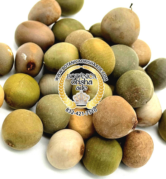 SEMILLA QUITA MALDICION