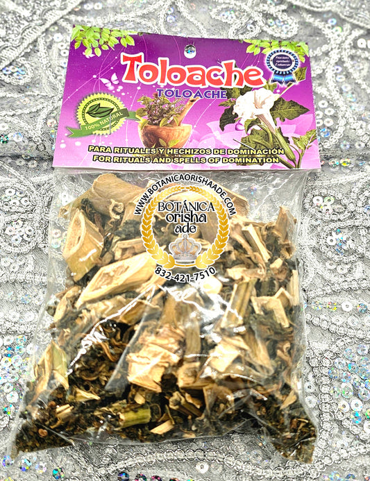 HIERBAS SECA-TOLOACHE