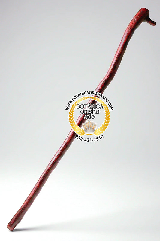 BASTON DE MANGLE ROJO