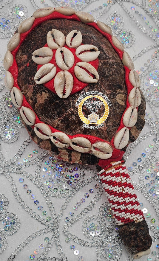 MARACA DE CARAPACHO DE JICOTEA 4