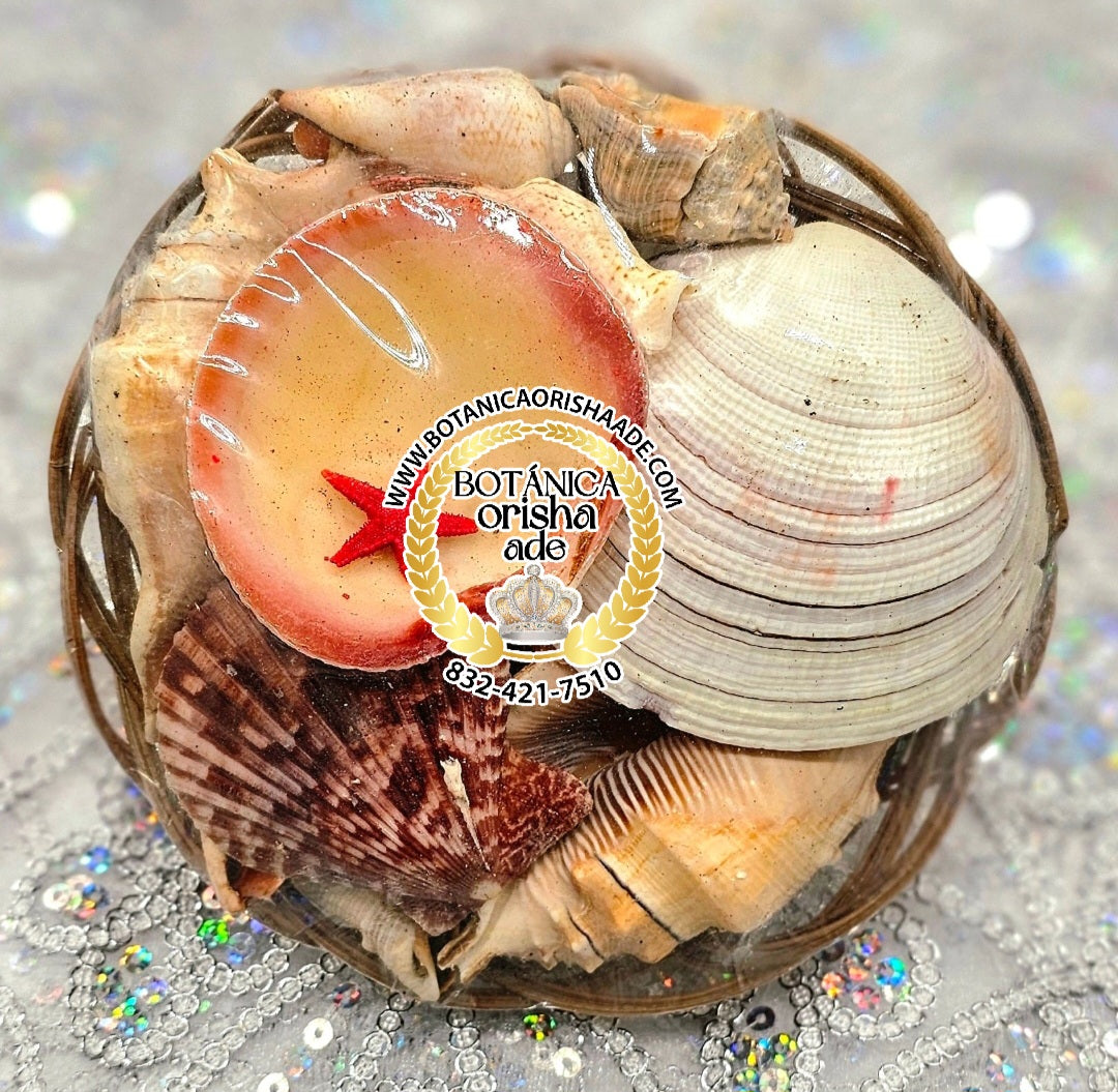 CARGA DE OLOKUN CHIQUITA