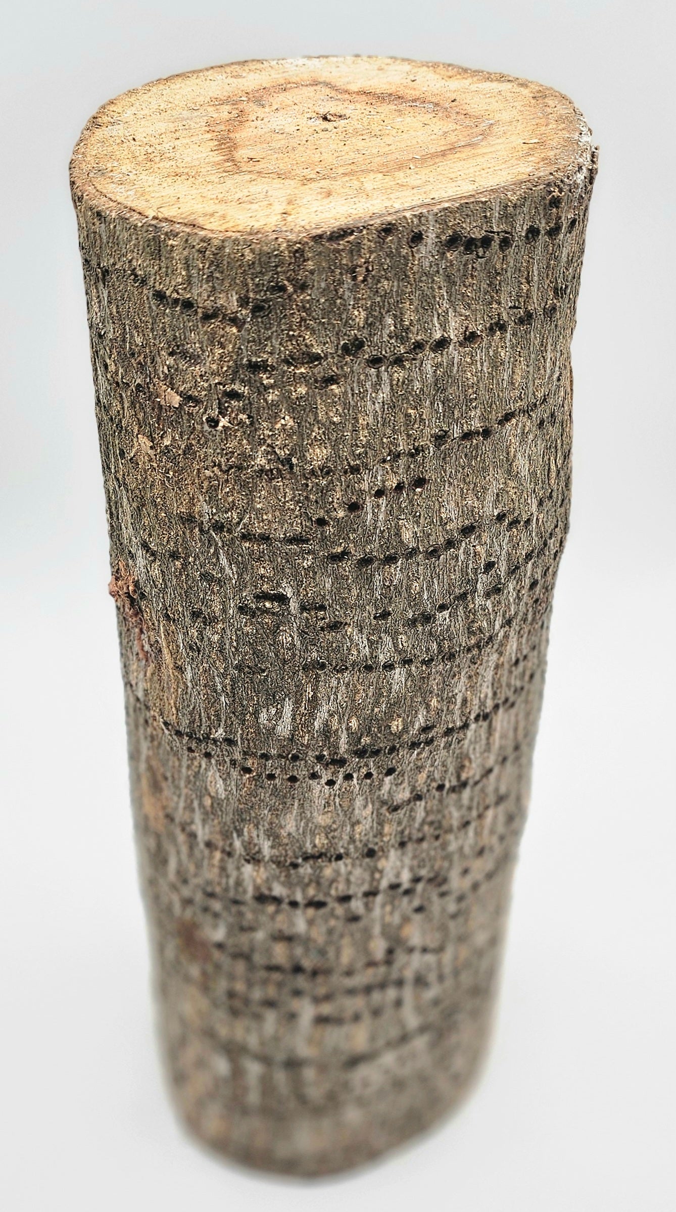 PILON DE ALMENDRA DE OSHOSI