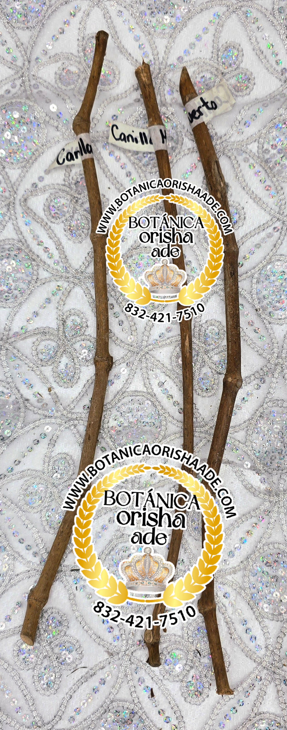 PALO CANILLA MUERTO -  15 Y 20 PULGADAS DE LARGO