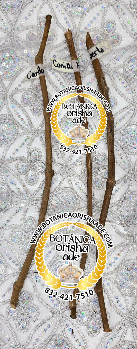 PALO CANILLA MUERTO -  15 Y 20 PULGADAS DE LARGO