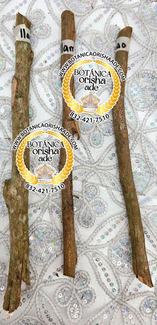 PALO LLAMAO-  15 Y 20 PULGADAS DE LARGO