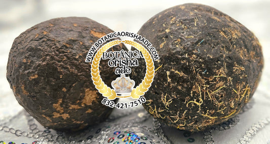 BUCHE DE VACA MOÑINGA - CHIQUITA