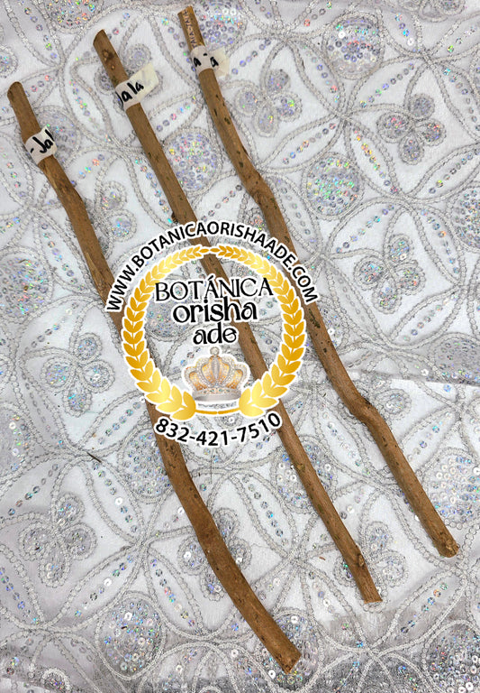 PALO JALA JALA  -  9 a 20 PULGADAS DE LARGO