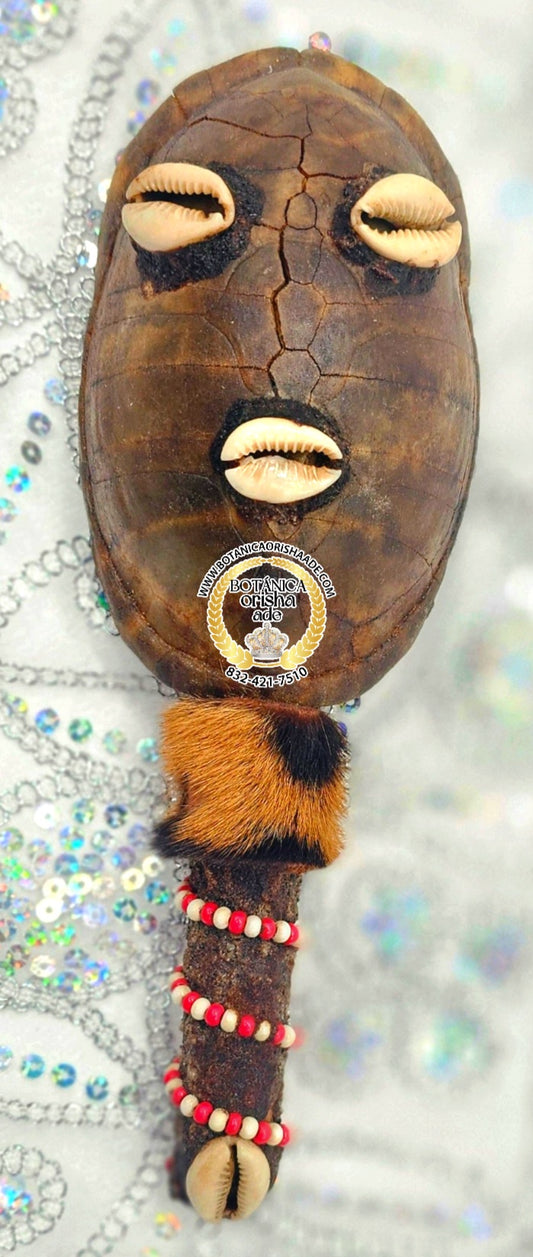 MARACA DE CARAPACHO DE JICOTEA 14