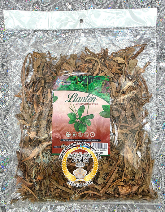 HIERBA SECA - HOJAS DE LLANTEN