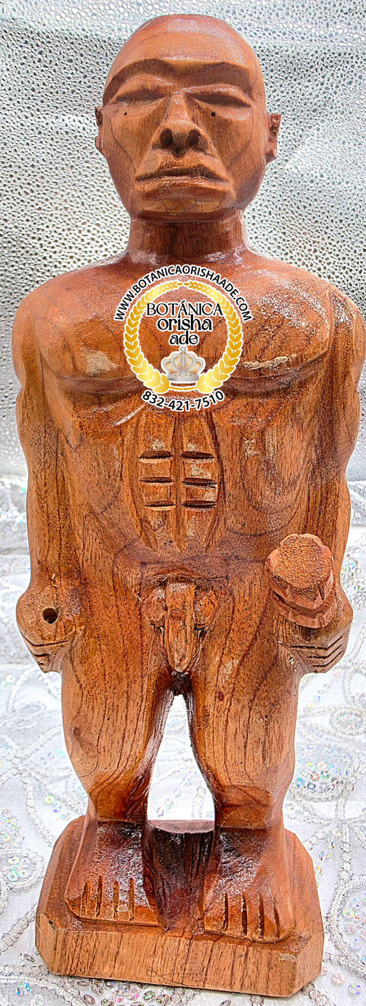 ALBORAN - OBA KOLABA