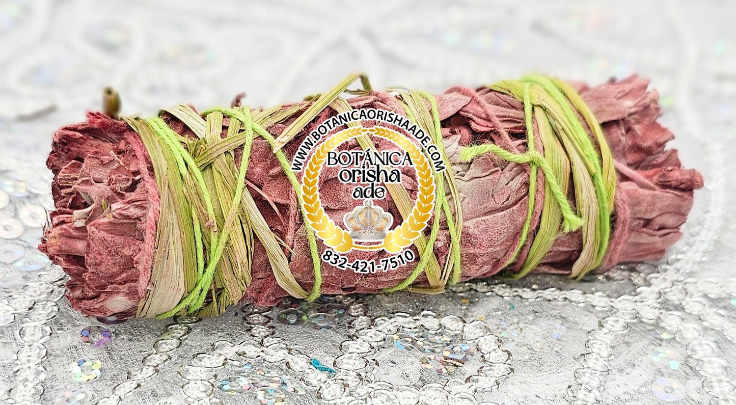 SAGE - SECRET GARDEN SAGE