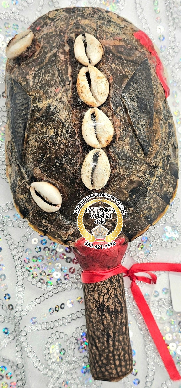 MARACA DE CARAPACHO DE JICOTEA 5