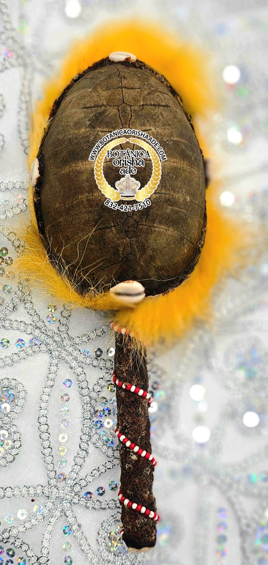 MARACA DE CARAPACHO DE JICOTEA 11