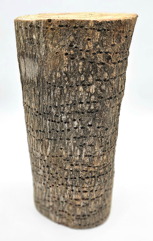 PILON DE ALMENDRA DE OSHOSI