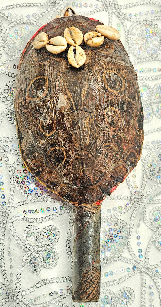 MARACA DE CARAPACHO DE JICOTEA