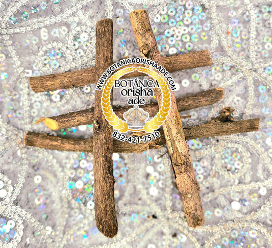 PALO MAR PACIFICO DE 2 A 5 PULGADAS