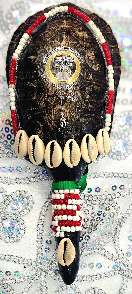 MARACA DE CARAPACHO DE JICOTEA 12