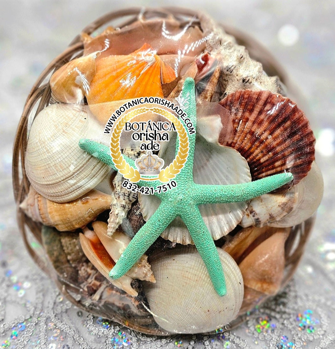 CARGA DE OLOKUN MEDIANA