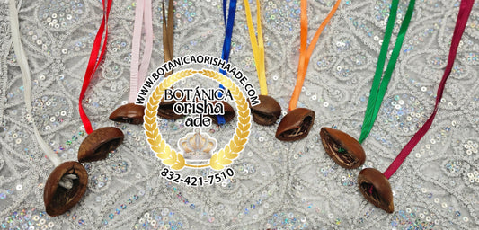 SEMILLA DE EGGUN  (1)