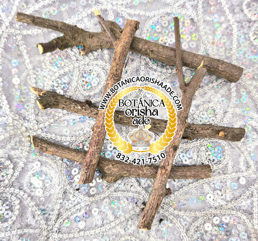 PALO SIGUARAYA DE 2 A 5 PULGADAS