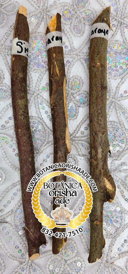 PALO SIGUARAYA  -  15 Y 20 PULGADAS DE LARGO