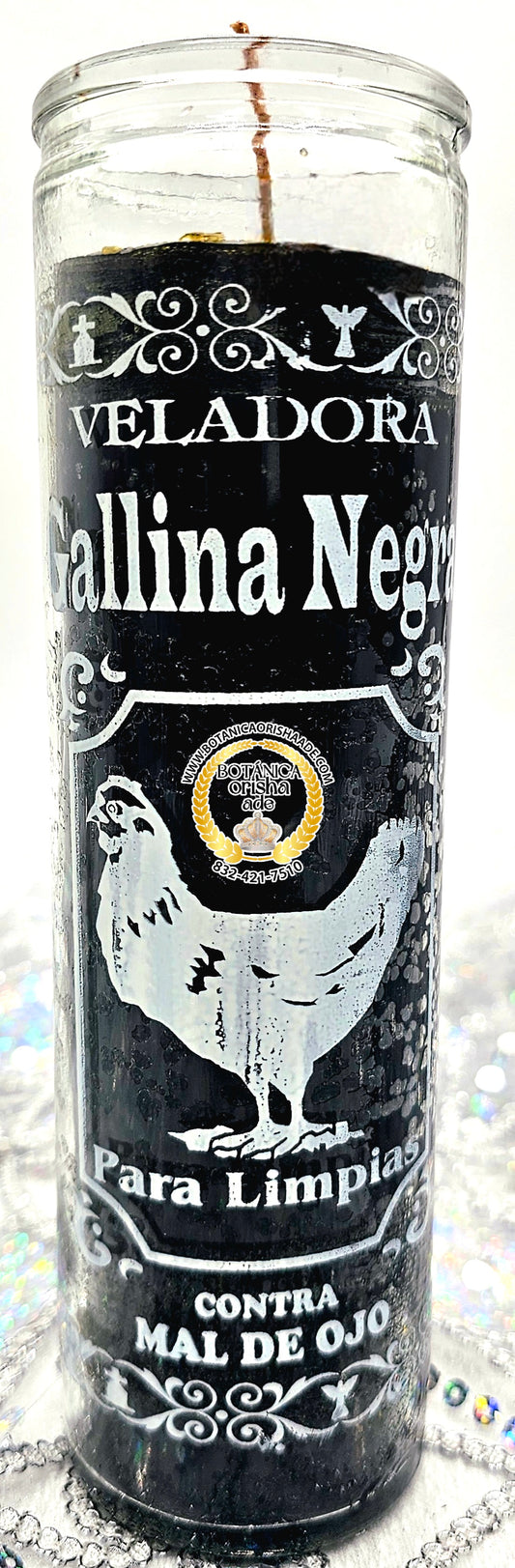 VELA - GALLINA NEGRA