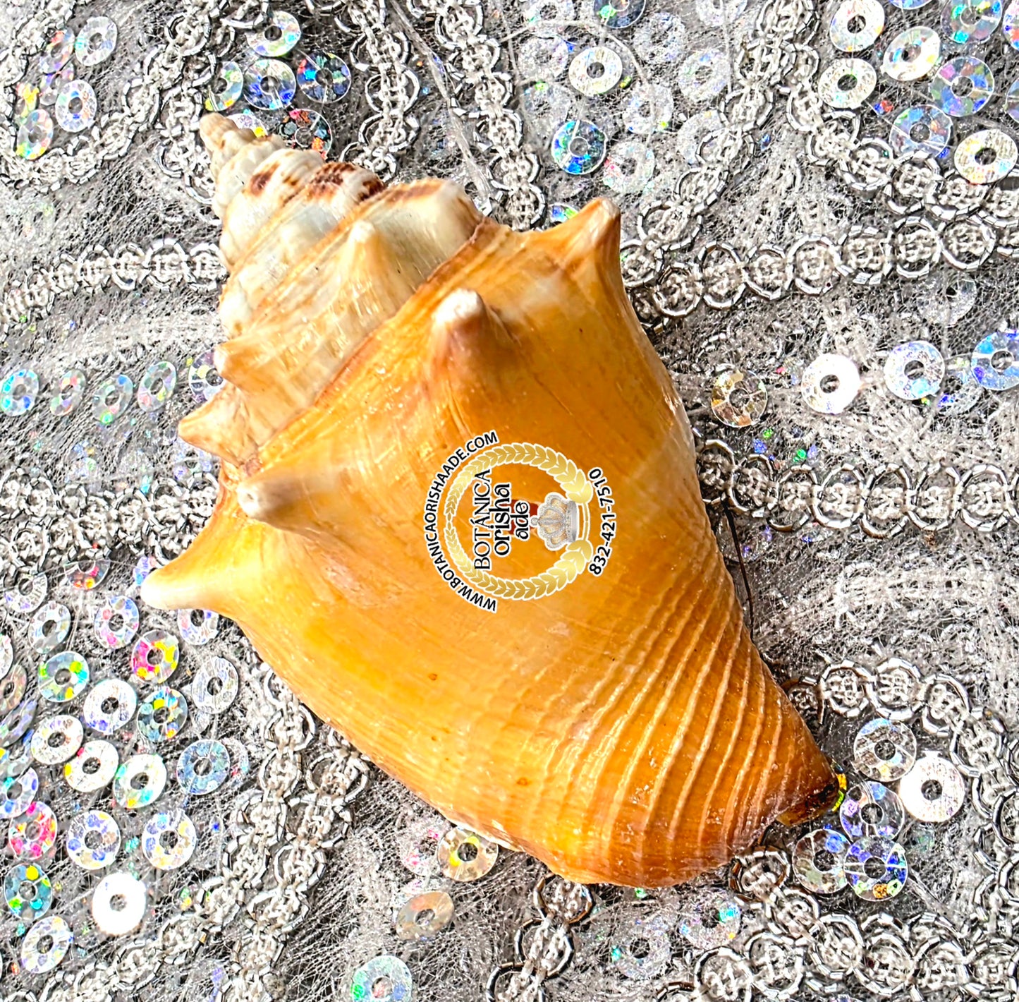 CARACOL AYE XS