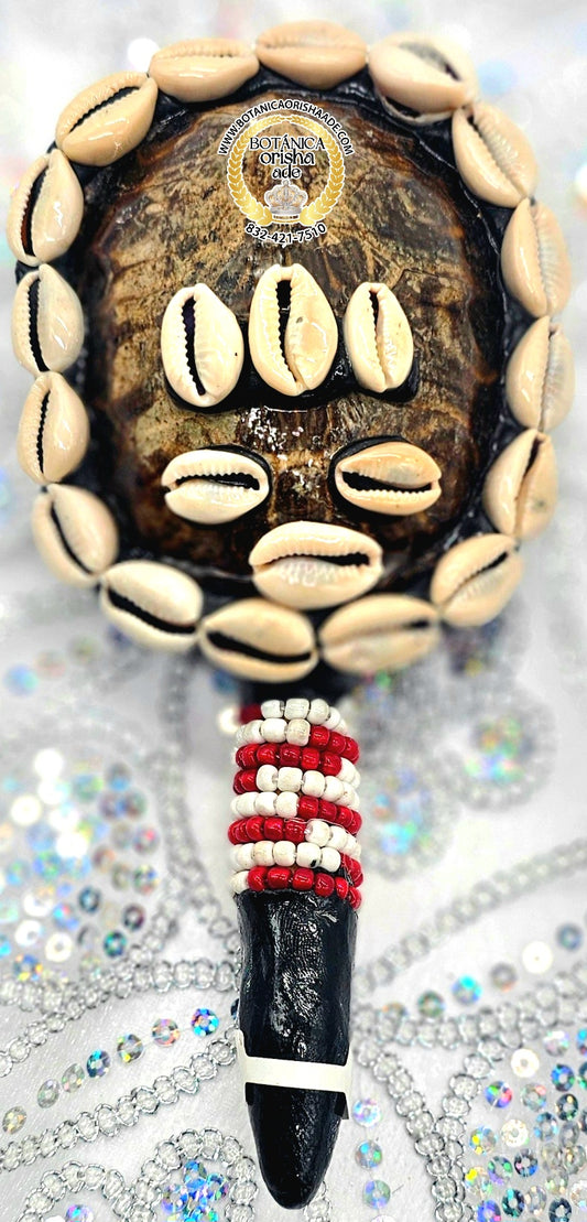 MARACA DE CARAPACHO DE JICOTEA 13