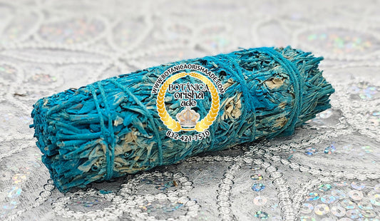 SAGE - CHAMBA SAGE - SAVILA CON CHAMBA