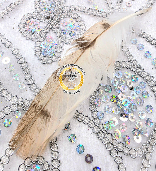 PLUMA DE LECHUZA