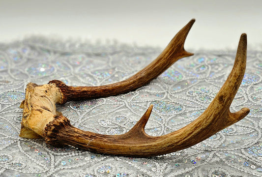 FRONTIL DE VENAO 8