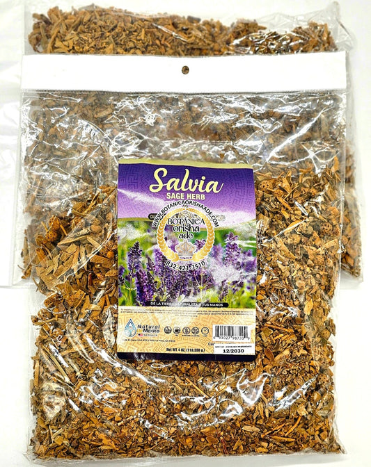 SALVIA